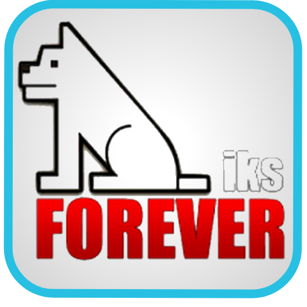 Forever 12 Mois