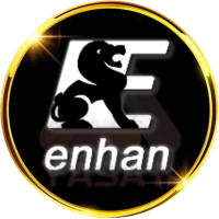 Enhan Iptv 12 Mois