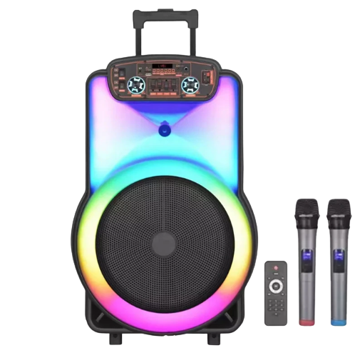 NDR Portable Speaker 15" Y15 - 2 Microphones - Black