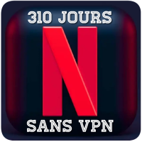 Netflix 310 Jours 1 Ecran