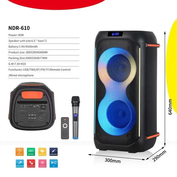 Haut Parleur Sans Fil Ndr 610