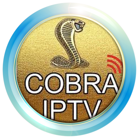 Cobra Egypte 12 Mois