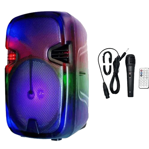 Haut Parleur Mobile 8'' Pk-29 Avec Bluetooth & Télécommande Rgb