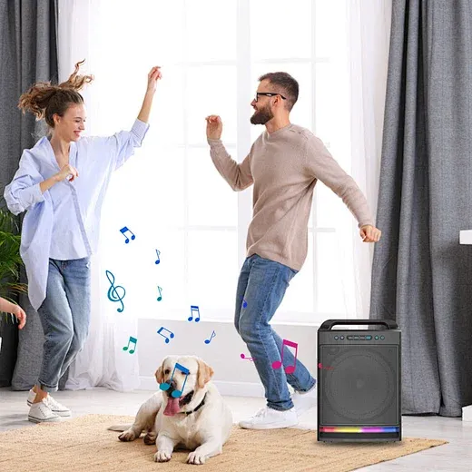 SING-E ZQS8170 Haut-Parleur Bluetooth