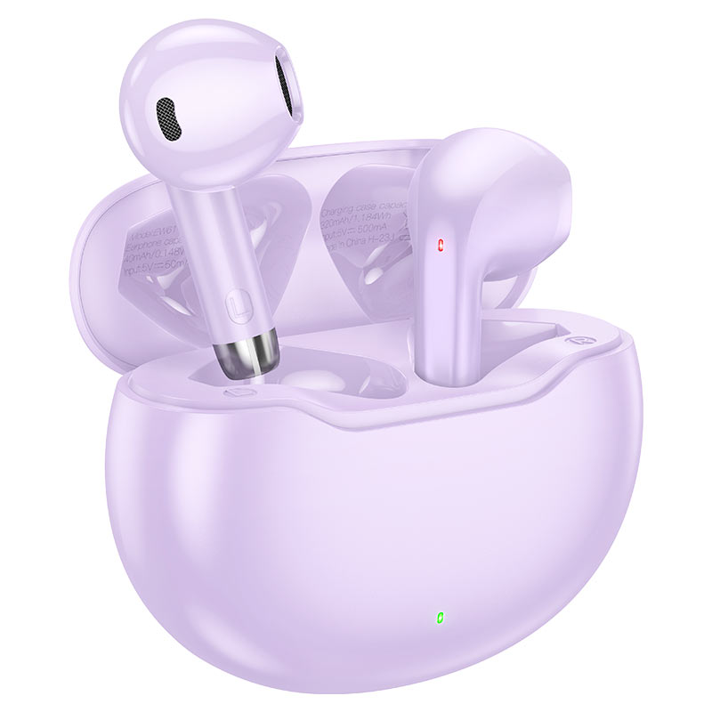 Ecouteurs Sans Fil Hoco Ew61