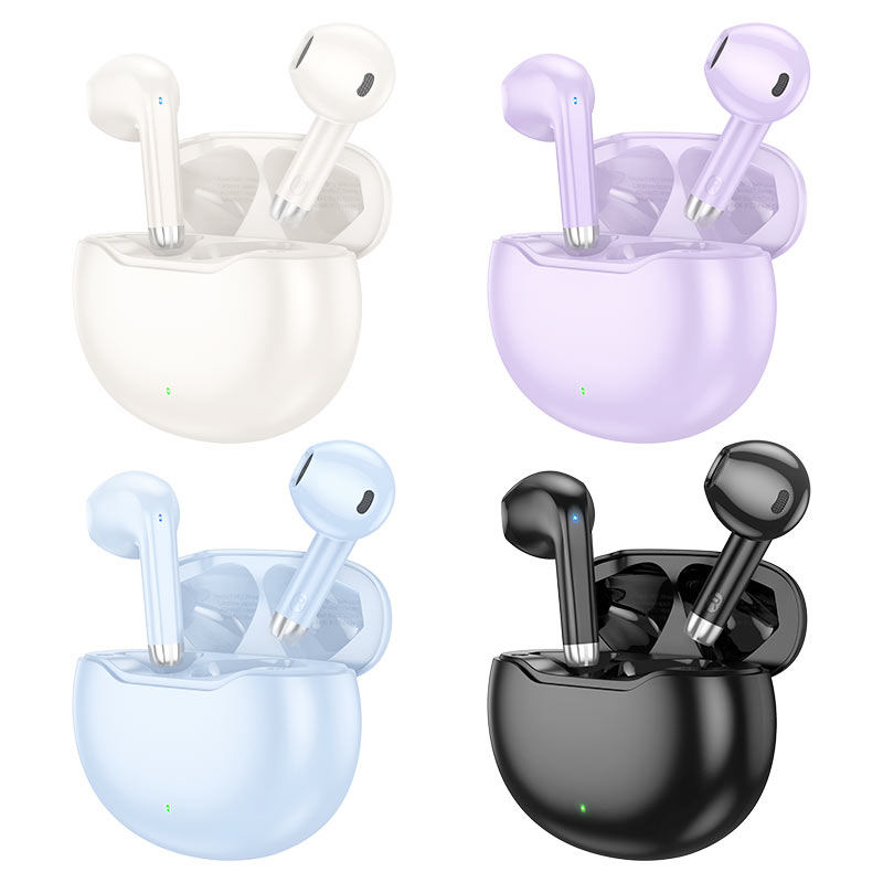 Ecouteurs Sans Fil Hoco Ew61